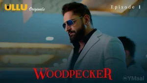 Thumbnail and Poster of the Woodpecker Episode 1 Video