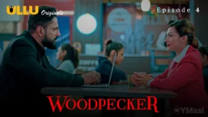 Thumbnail and Poster of the Woodpecker Episode 4 Video
