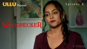 Thumbnail and Poster of the Woodpecker Episode 5 Video